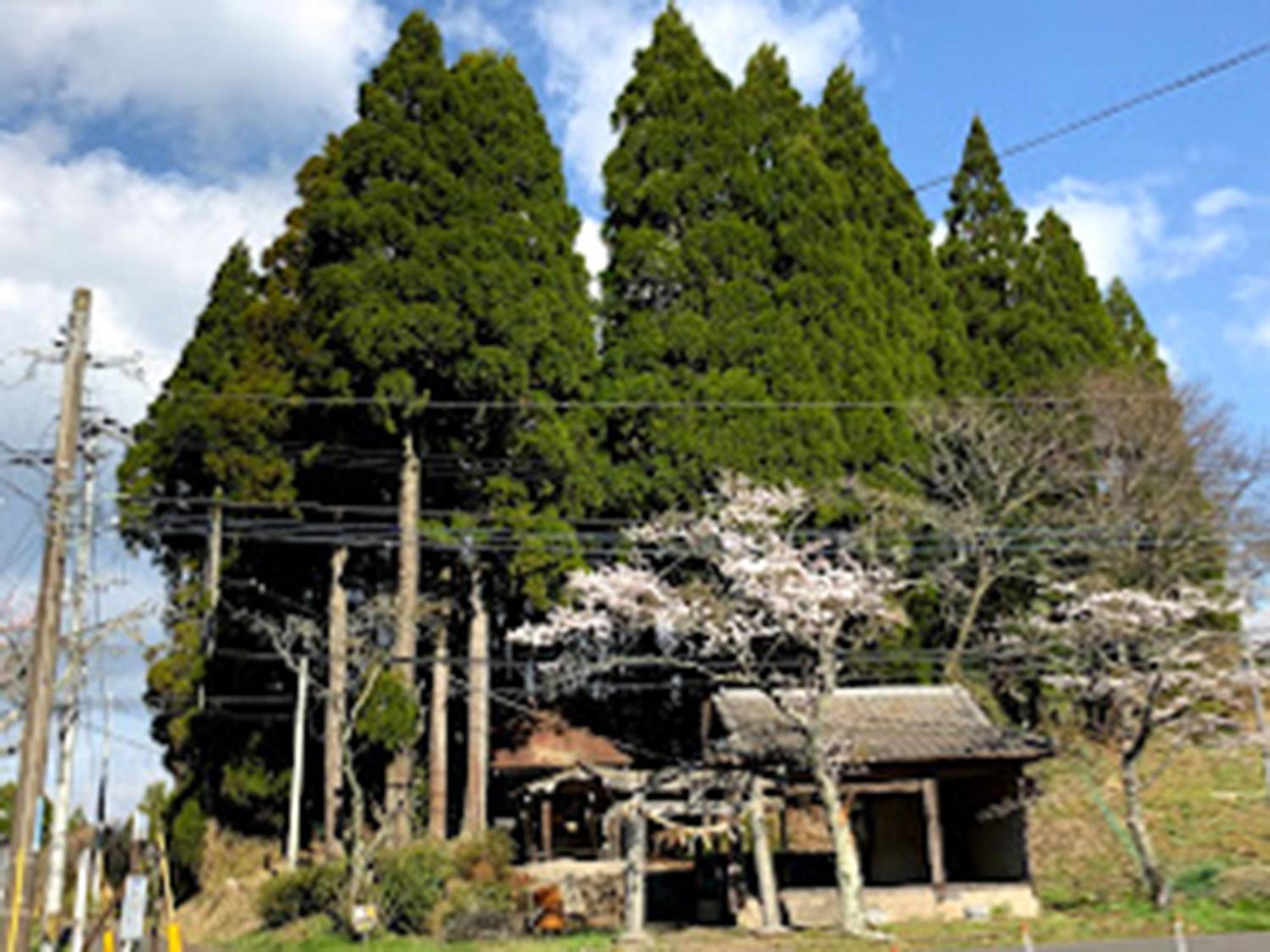 Guesthouse Kurihai Oita Dış mekan fotoğraf