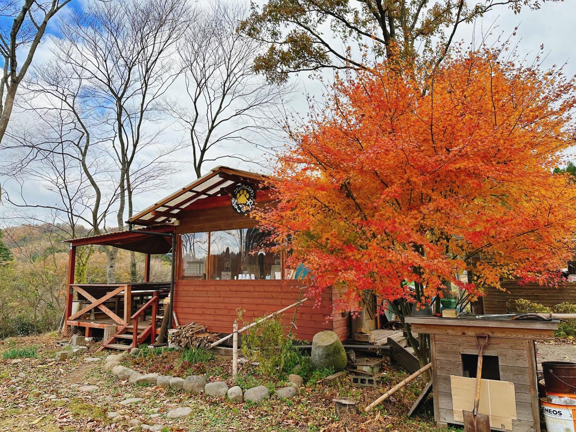 Guesthouse Kurihai Oita Dış mekan fotoğraf